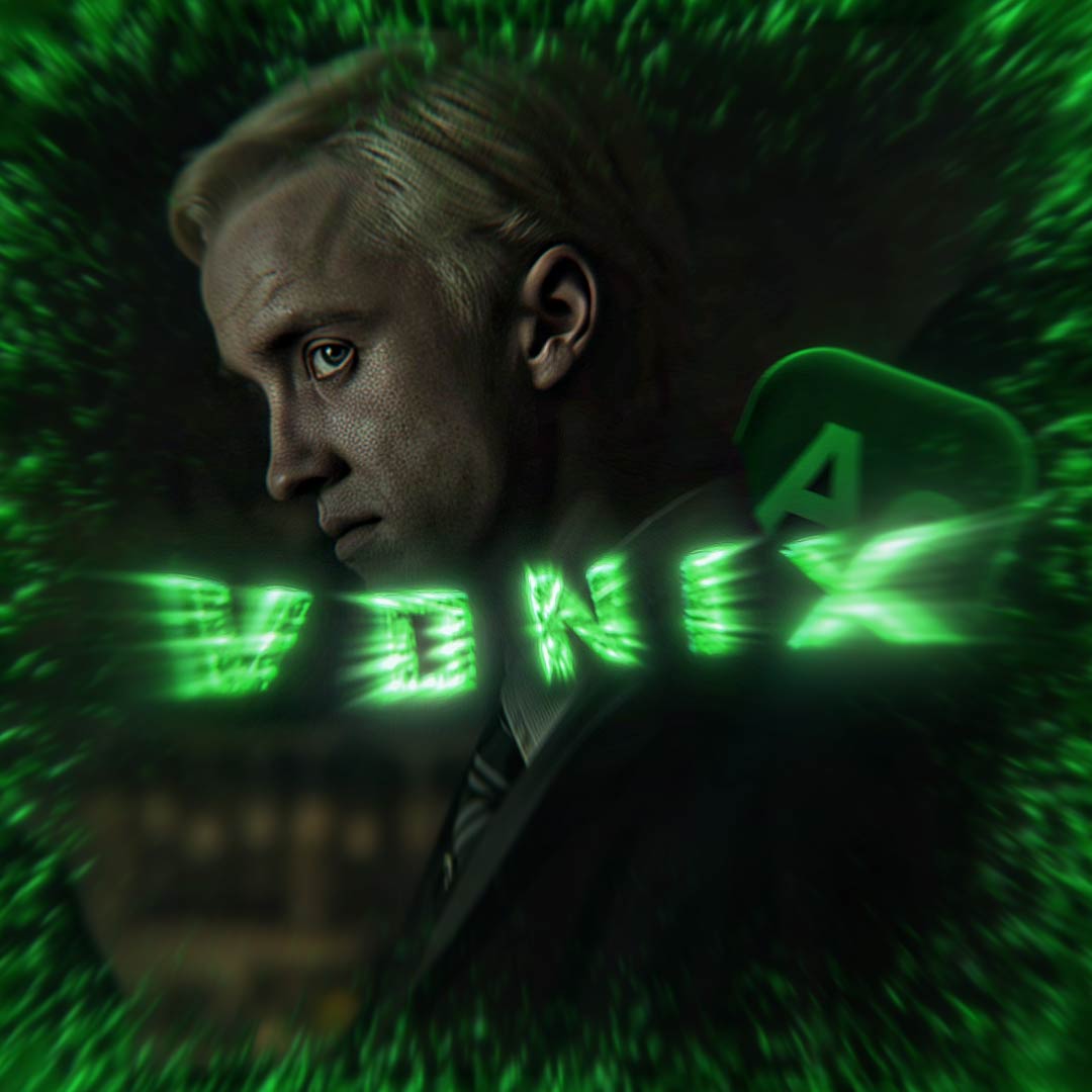 Custom Editing Service - PFP